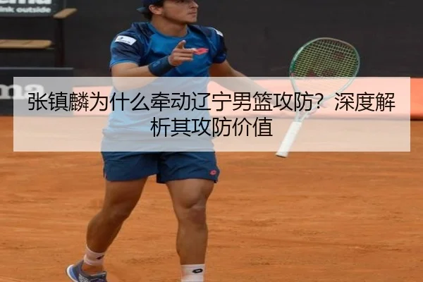 张镇麟为什么牵动辽宁男篮攻防？深度解析其攻防价值
